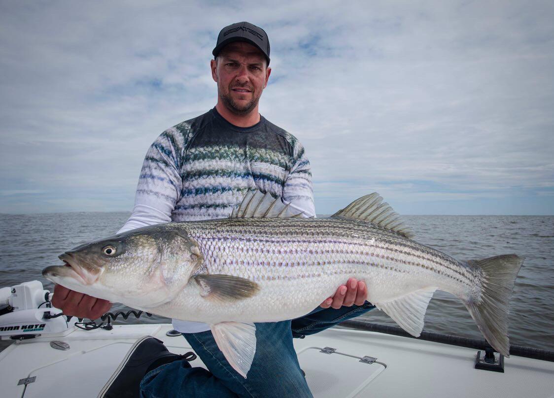 MEN'S SPORT TEC | STRIPER | CREW