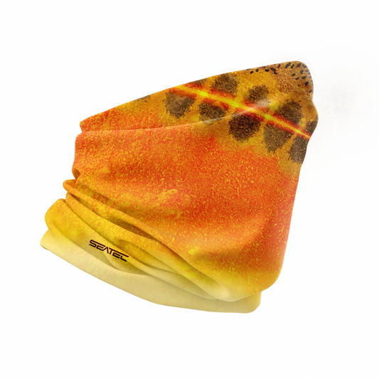 SEATEC Golden Trout Shield – UPF 50+ performance fishing face shield with moisture-wicking and 4-way stretch”